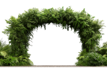 Lush Green Archway Covered in Plants isolated on a transparent background