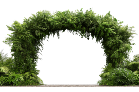 Lush Green Archway Covered in Plants isolated on a transparent background