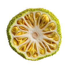 Fresh Jackfruit Half Cross Section Isolated on White Background