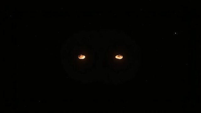 Hypnotic Golden Eyes Glimmering in Absolute Darkness, Evoking Mystery and Intrigue in a Mysterious