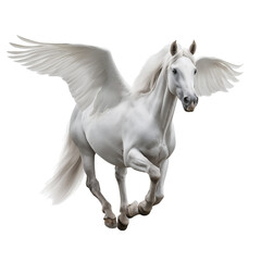 Obraz premium White Pegasus Horse with Wings isolated on a transparent background 1