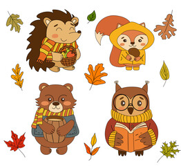 Cute Forest Animals Autumn Illustration Set