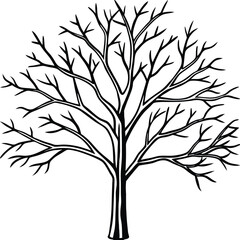 Minimalist bare winter tree with delicate snow dusted branches isolated on white background isolated on transparent background