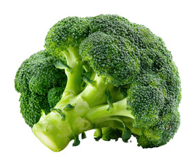 Fresh broccoli harvest farm market food outdoors isolated on transparent background