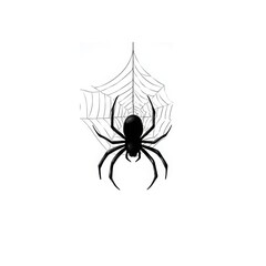 Obraz premium Spider in Web: a striking image of a spider suspended in its intricate web, the arachnid's sleek silhouette and detailed web design symbolize natural artistry.