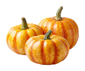 Harvesting bright orange pumpkins farm field food autumn nature isolated on transparent background