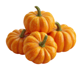 Harvesting fresh pumpkins farm market food autumn isolated on transparent background