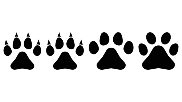 Different human footprints big icon set. Foot imprint, footsteps icon collection. Human footprints silhouette. Male and female tracks. Barefoot, sneaker and shoes footstep icons. Vector illustration