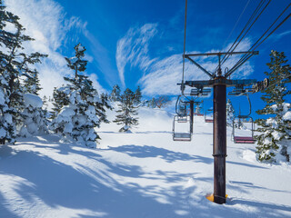 A winter ski resort scene with long shadows of trees on fresh snow (Shibutoge, Shiga Kogen, Gunma/Nagano, Japan)