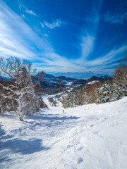 Fototapeta premium A dramatic winter landscape of a ski slope descending toward a valley (Yokoteyama, Shiga Kogen, Nagano, Japan)