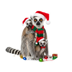 Obraz premium Festive lemur family wearing Santa hats and a scarf, surrounded by Christmas ornaments, sharing the holiday spirit with playful charm and endearing togetherness