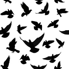 Silhouettes of flying birds against a white background, freedom concept.