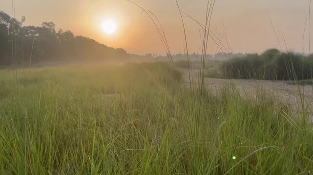 Sun rise in the morning ,morning fog in the field