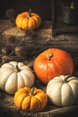 Autumnal decoration with various edible pumpkins on dark wooden background