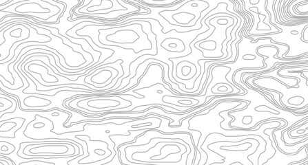 abstract wavy background. topographic contour background. contour lines background. Topographic map contour background.