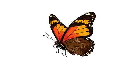 Fototapeta premium Detailed artistic illustration of a monarch butterfly in flight showing its intricate wing patterns and delicate antennae.