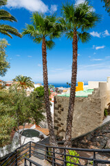 Two palm trees overlooking the rooftops of a colorful coastal town under a blue sky on a Canary Island