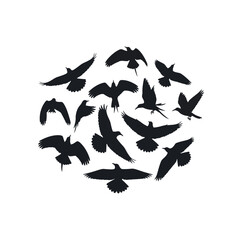 Silhouettes of various birds in flight arranged in a circular pattern.