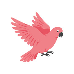 Vibrant pink parrot in mid flight with wings spread wide showcasing its colorful plumage and tropical bird beauty