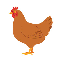A simple flat illustration of a brown hen standing upright with a red comb and wattle on a white background