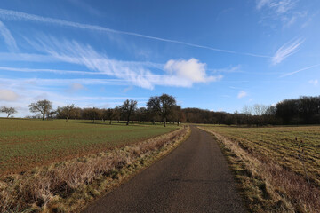 Spring landscape with a road