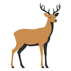 Majestic male deer with antlers standing proudly in a stylized flat illustration against a white background
