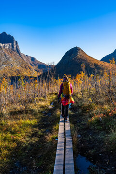 Lofoten - Norwegen - Senja - Herbst - Segla - Hesten