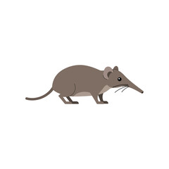 Cute cartoon illustration of a grey elephant shrew with a long snout and tail standing on a white background