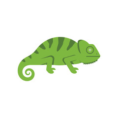Cute cartoon green chameleon with striped tail and swirly tail isolated on a white background playful reptile illustration