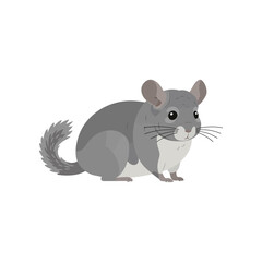 Adorable cartoon illustration of a fluffy grey chinchilla with large ears and a bushy tail sitting and looking forward