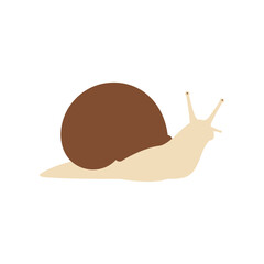 A simple stylized illustration of a brown shelled garden snail with cream colored body and antennae on a white background