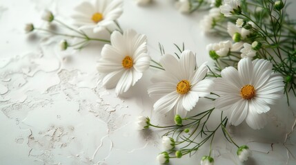  a simple corner bouquet of white daisies and soft greenery on a pure white background and surface, photorealistic lights