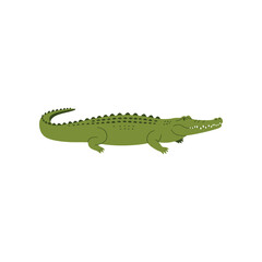 Fototapeta premium A simple cartoon illustration of a green alligator with its mouth open showing teeth and its body textured with scales against a white background