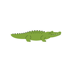 Cute cartoon green alligator or crocodile with a smiling face and sharp teeth isolated on a white background