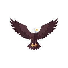 Majestic bald eagle with wings spread wide in flight against a clean white background symbolizing freedom and strength