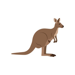 A brown kangaroo with a joey in its pouch stands facing left with its tail extended on a white background