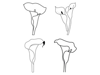 Minimal Floral Line Art Simple Calla Lily Vector set Design