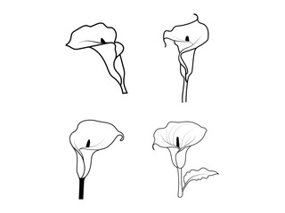 Minimal Floral Line Art Simple Calla Lily Vector set Design