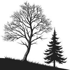 Obraz premium Black silhouette of bare tree and pine tree on grass