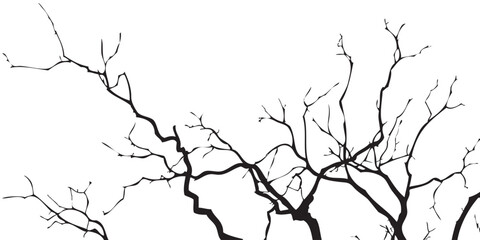 Intricate bare tree branches gnarled dark silhouette organic texture graphic winter dormant.