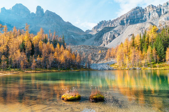 Golden larches glow beneath towering mountain peaks at Wonder Pass, capturing a stunning autumn wilderness filled with vibrant color and pristine alpine beauty.
