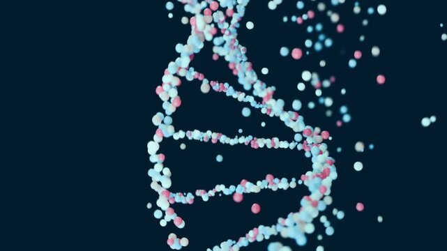 Abstract 3D model of rotating DNA molecule made of particles in dark space background showing double helix structure, genetics, biotechnology, futuristic science and data analysis concept