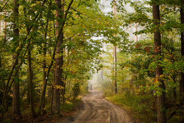 mgła,jesień,leśna droga  © Marcin Łazarczyk