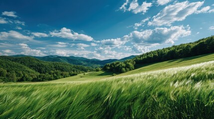 Lush green rolling hills under a vibrant blue sky with fluffy clouds