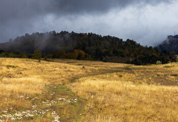 Autumn on a high-altitude plateau, dried plants on a sunny morning and awakening in nature