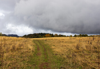 Autumn on a high-altitude plateau, dried plants on a sunny morning and awakening in nature