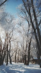 Winter forest scene with snow covered trees and blue sky