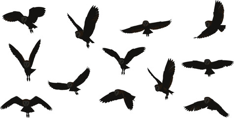 Flying barn owl silhouette collection with spread wings in various poses, nocturnal bird vector illustration design for wildlife, nature, and forest art