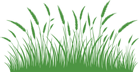 Green grass horizontal landscape border element vector illustration isolated on a white background