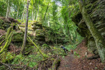 Beautiful green forest Hiking path with Sandstone chalk rock formations in Berdorf Mullerthal Luxembourg